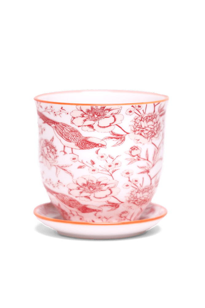 Liberte 5 Porcelain Pot And Saucer With Drainage - Chive US Wholesale