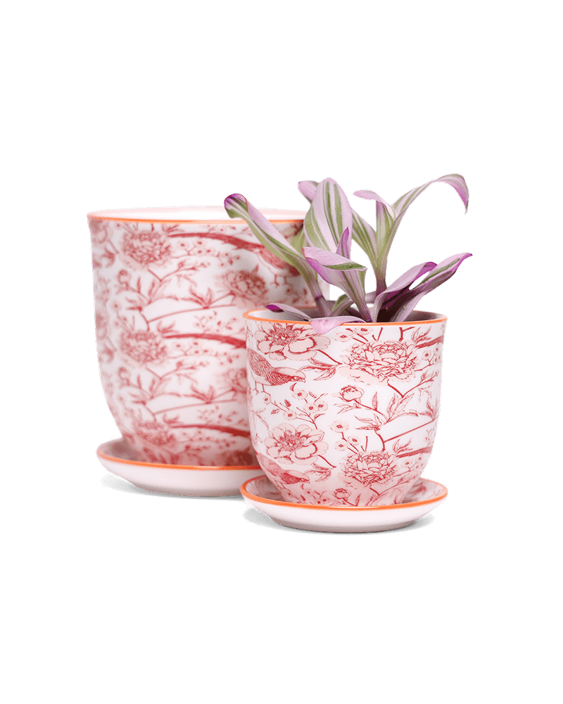 Liberte 5 Porcelain Pot And Saucer With Drainage - Chive US Wholesale