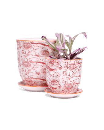 Liberte 5 Porcelain Pot And Saucer With Drainage - Chive US Wholesale