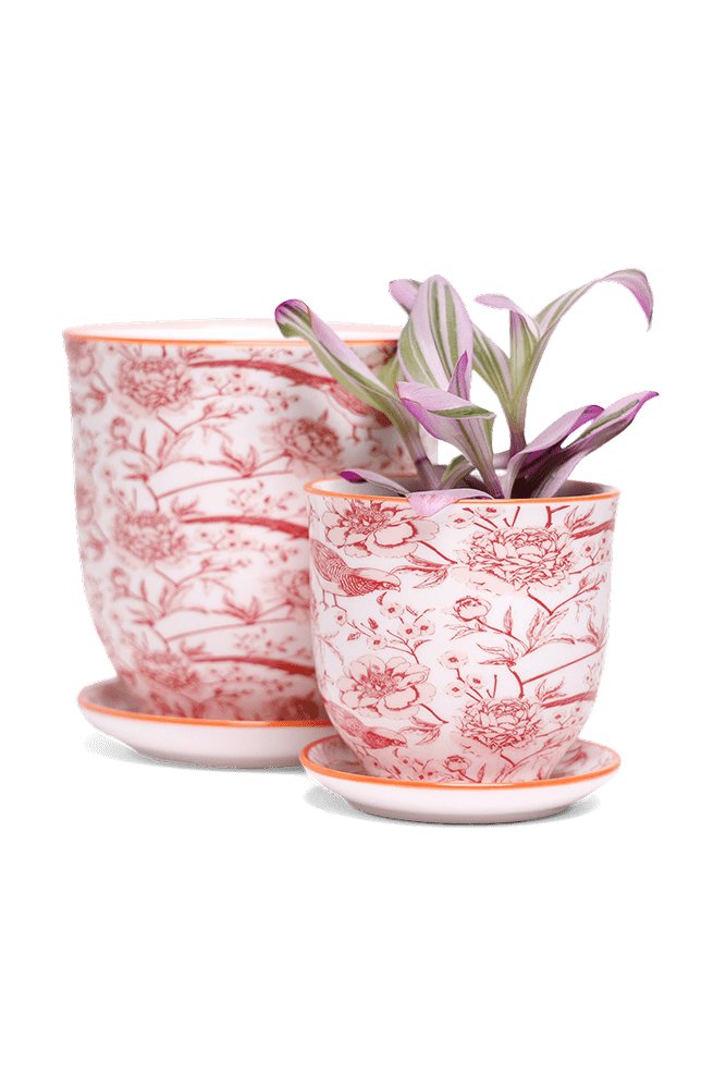 Liberte 5 Porcelain Pot And Saucer With Drainage - Chive US Wholesale