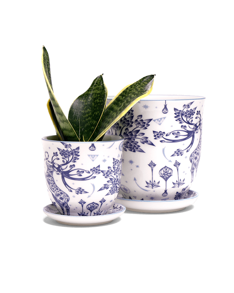 Liberte 5 Porcelain Pot And Saucer With Drainage - Chive US Wholesale