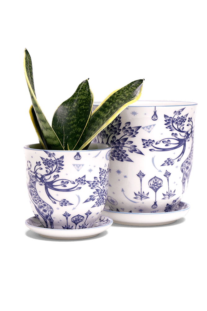 Liberte 5 Porcelain Pot And Saucer With Drainage - Chive US Wholesale
