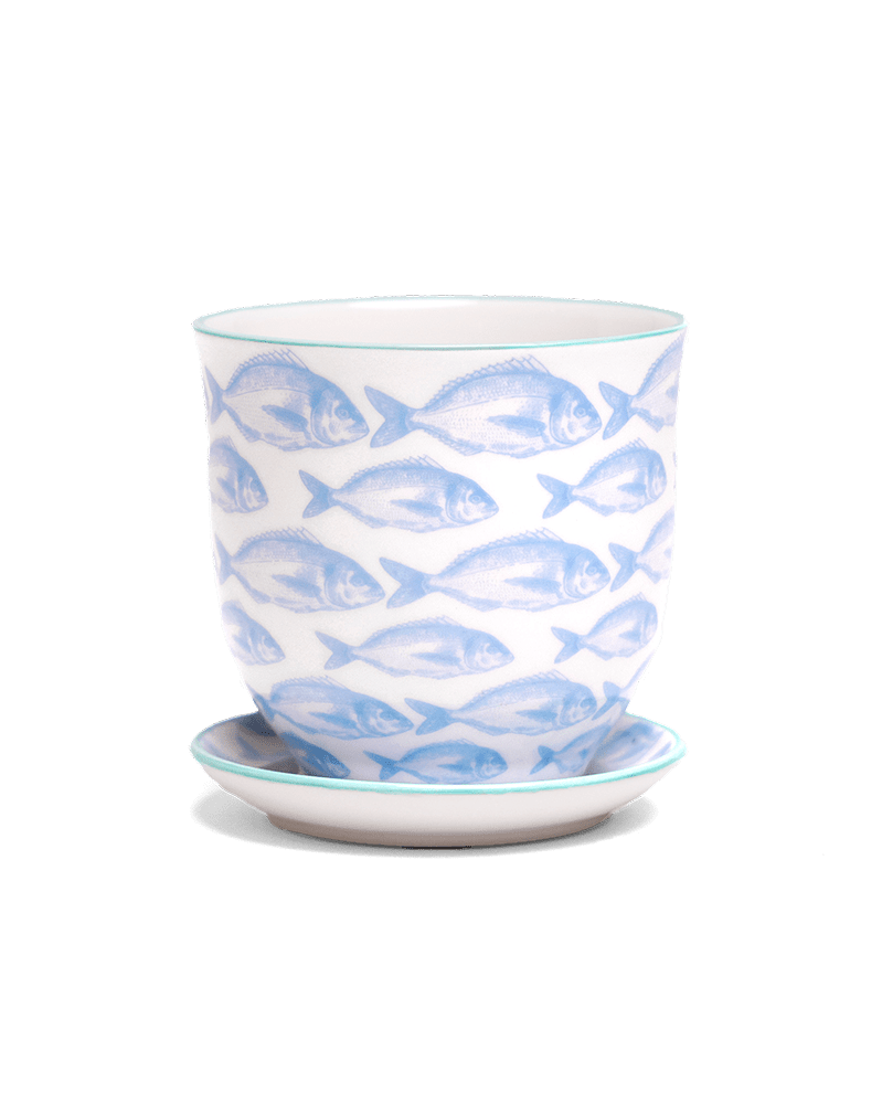 Liberte 5 Porcelain Pot And Saucer With Drainage - Chive US Wholesale
