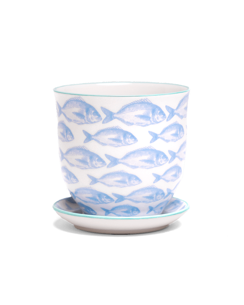 Liberte 5 Porcelain Pot And Saucer With Drainage - Chive US Wholesale