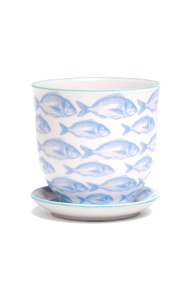 Liberte 5 Porcelain Pot And Saucer With Drainage - Chive US Wholesale