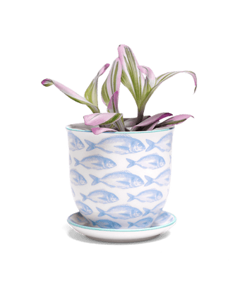 Liberte 5 Porcelain Pot And Saucer With Drainage - Chive US Wholesale