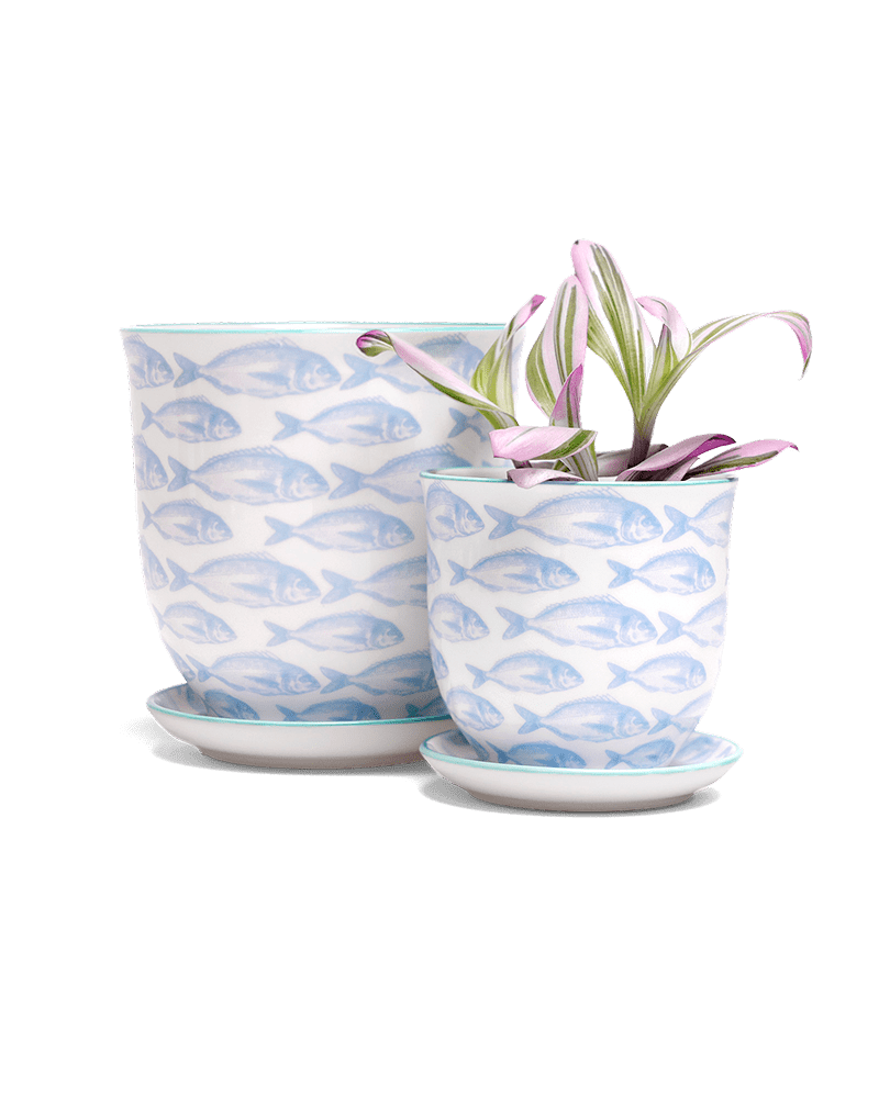 Liberte 5 Porcelain Pot And Saucer With Drainage - Chive US Wholesale