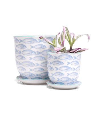Liberte 5 Porcelain Pot And Saucer With Drainage - Chive US Wholesale