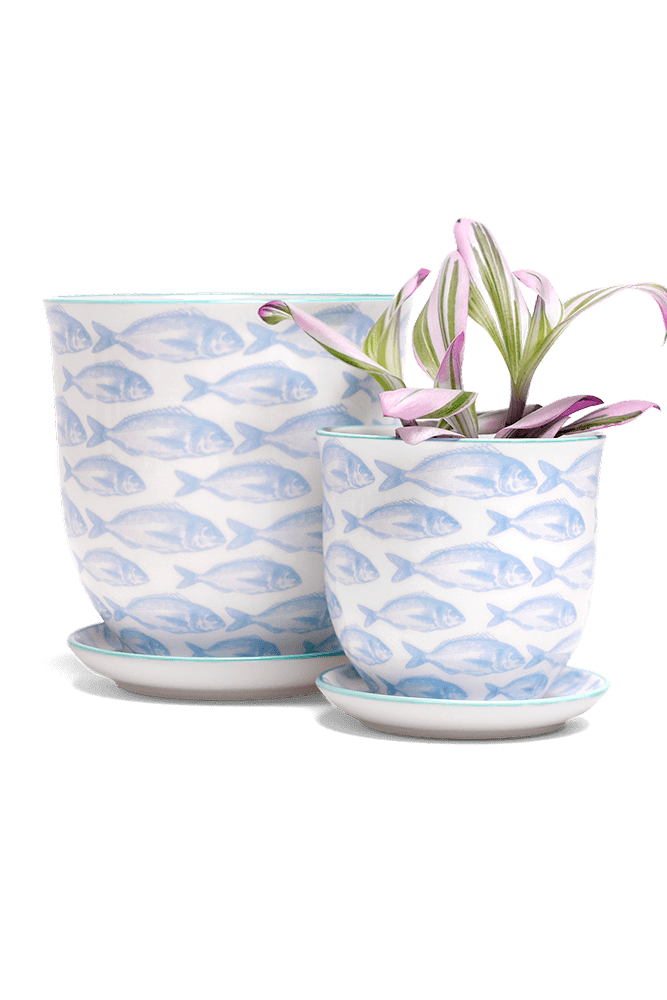 Liberte 5 Porcelain Pot And Saucer With Drainage - Chive US Wholesale