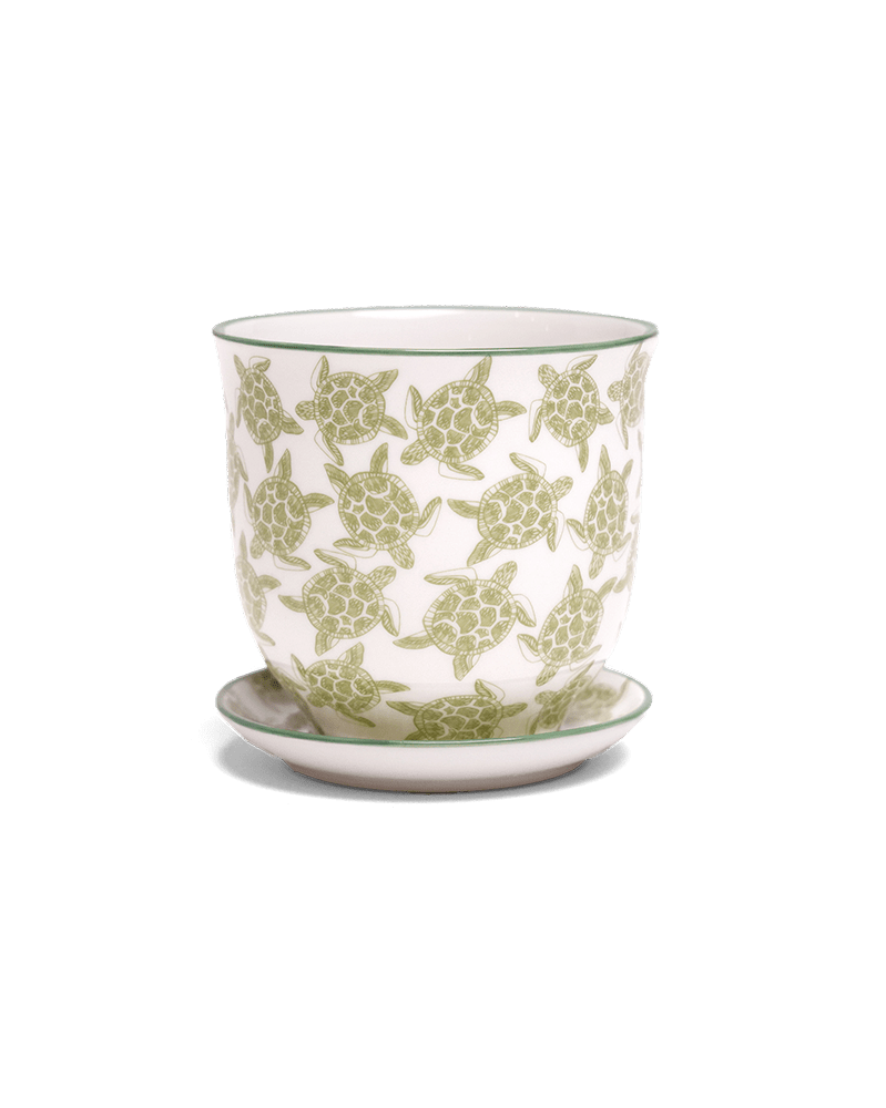 Liberte Porcelain Pot And Saucer Set With Drainage - Chive US Wholesale