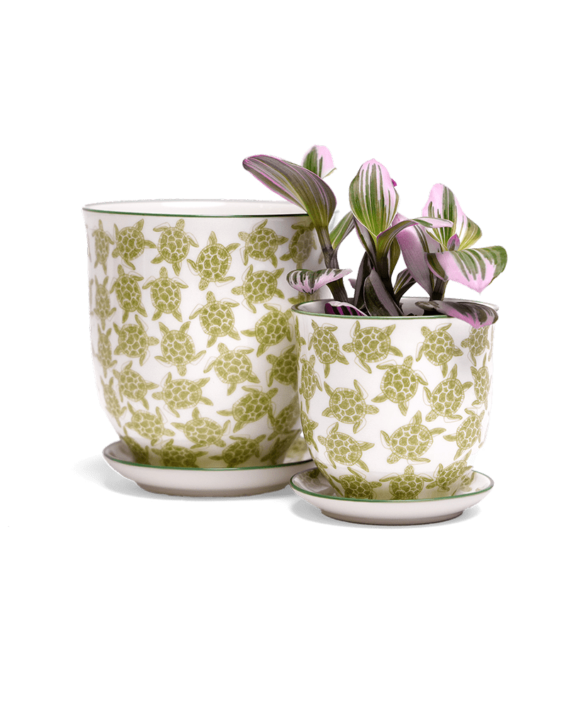Liberte Porcelain Pot And Saucer Set With Drainage - Chive US Wholesale