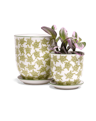 Liberte Porcelain Pot And Saucer Set With Drainage - Chive US Wholesale