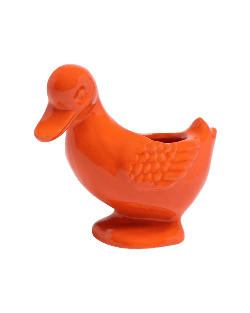 Duck Ceramic Indoor Plant Pot For Succulents - Chive US Wholesale