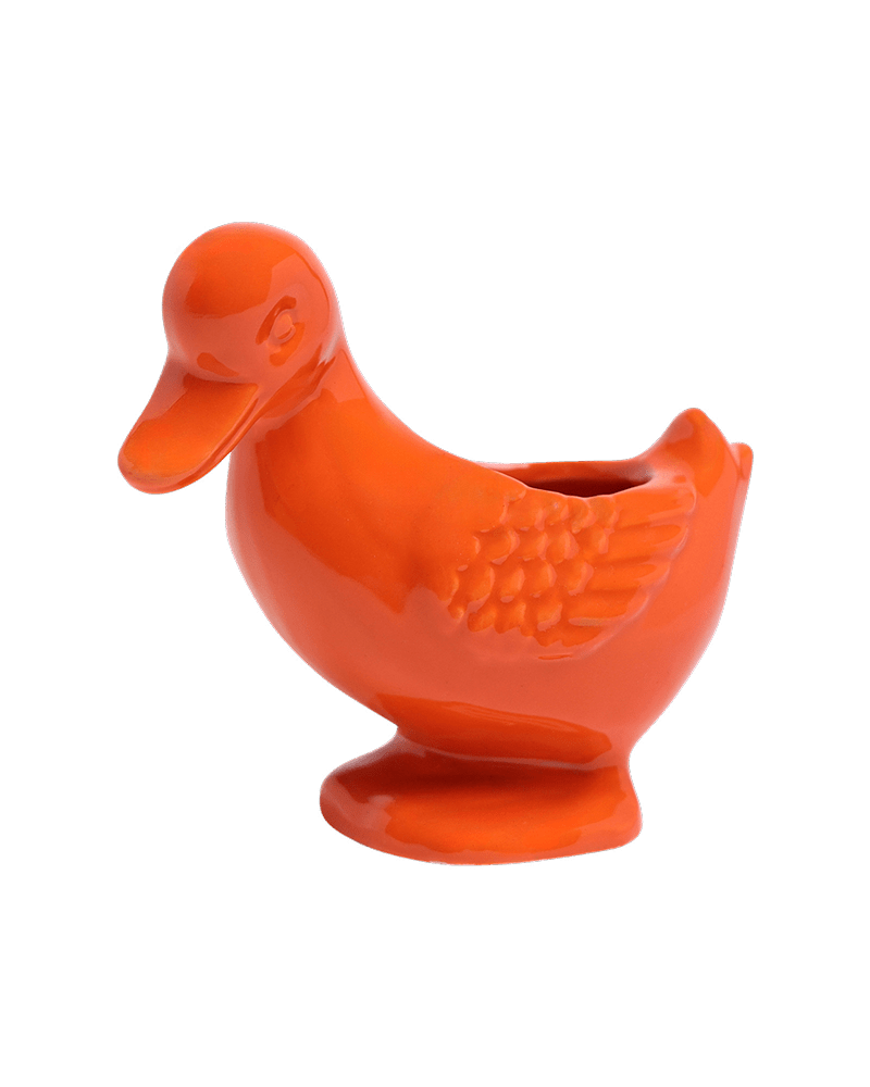 Duck Ceramic Indoor Plant Pot For Succulents - Chive US Wholesale