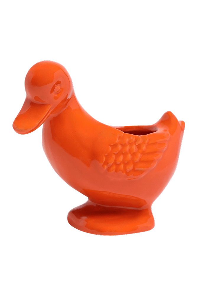 Duck Ceramic Indoor Plant Pot For Succulents - Chive US Wholesale