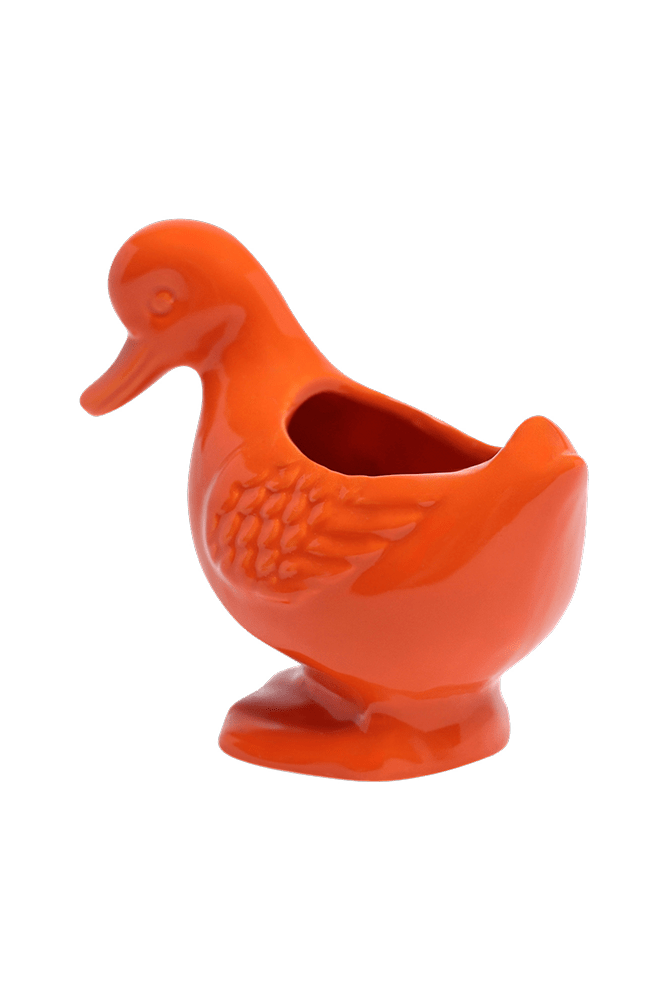 Duck Ceramic Indoor Plant Pot For Succulents - Chive US Wholesale