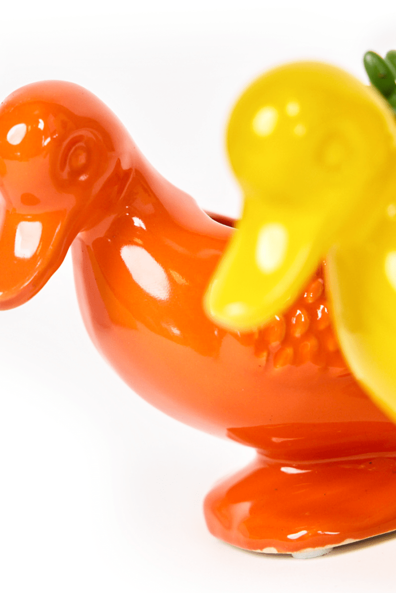 Duck Ceramic Indoor Plant Pot For Succulents - Chive US Wholesale