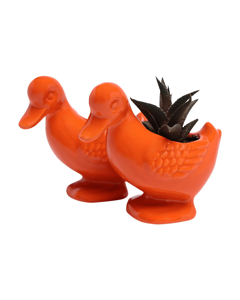 Duck Ceramic Indoor Plant Pot For Succulents - Chive US Wholesale