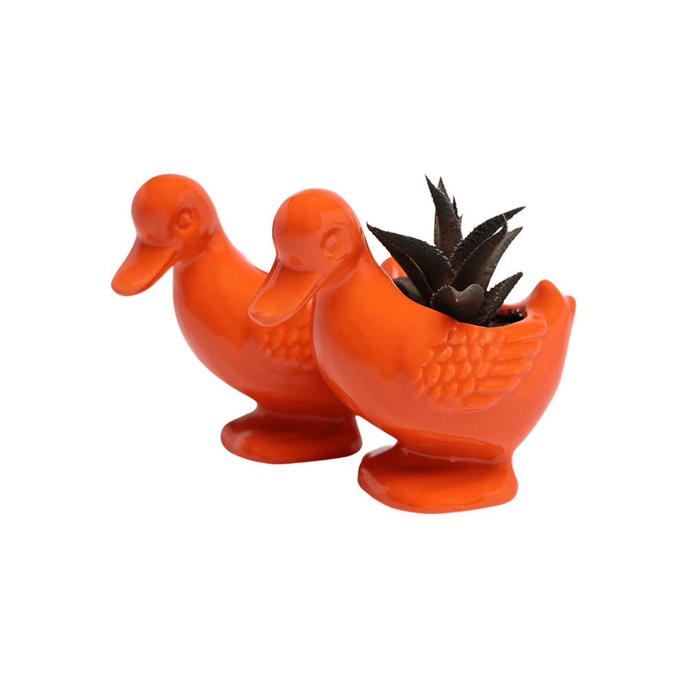 Duck Ceramic Indoor Plant Pot For Succulents - Chive US Wholesale
