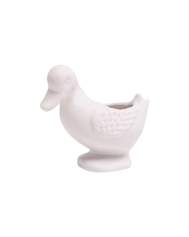 Duck Ceramic Indoor Plant Pot For Succulents - Chive US Wholesale