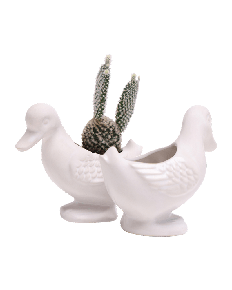 Duck Ceramic Indoor Plant Pot For Succulents - Chive US Wholesale