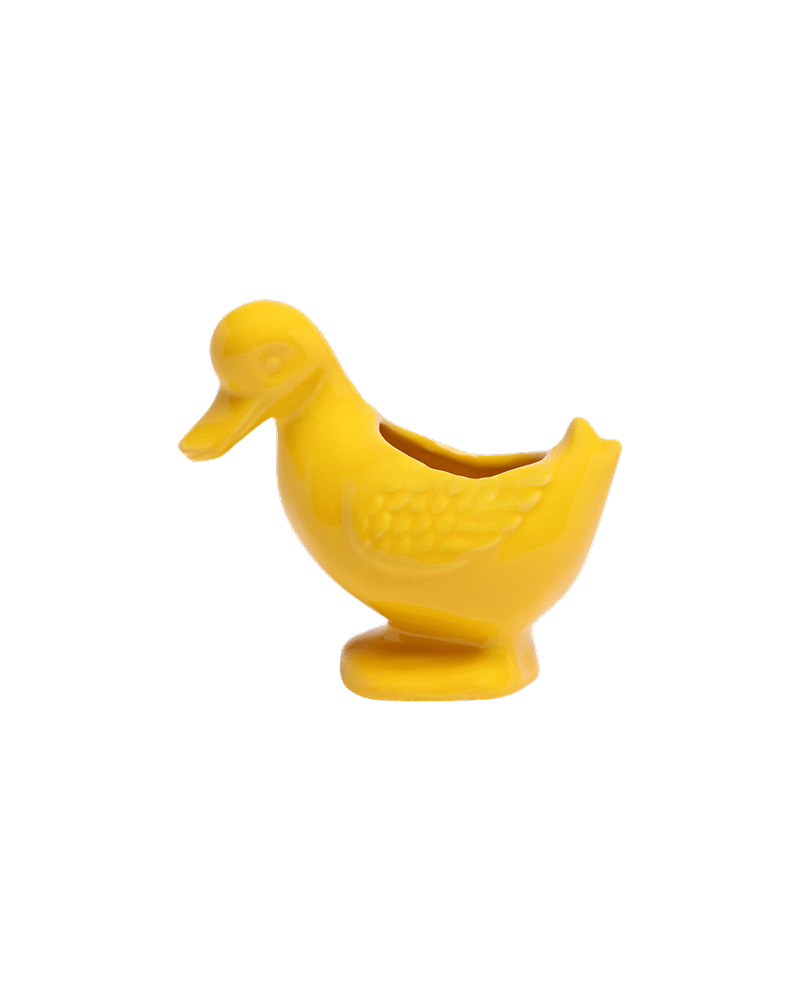 Duck Ceramic Indoor Plant Pot For Succulents - Chive US Wholesale