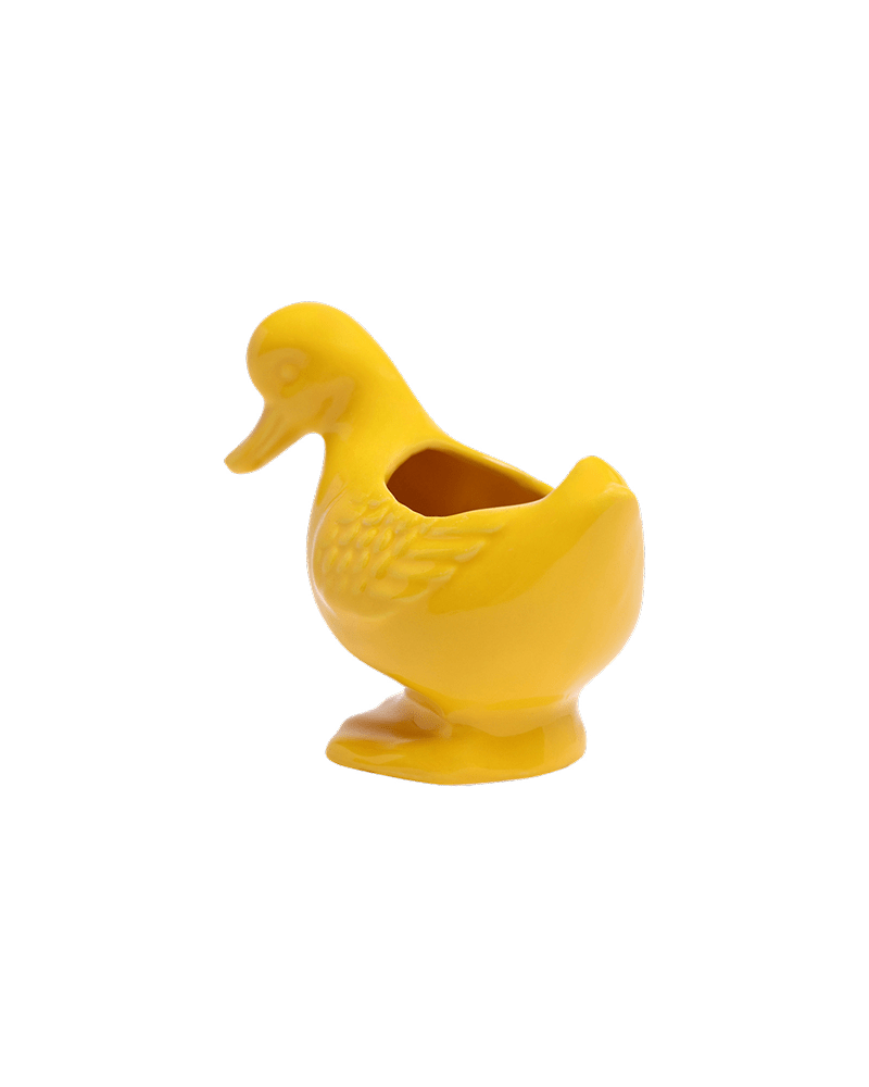 Duck Ceramic Indoor Plant Pot For Succulents - Chive US Wholesale