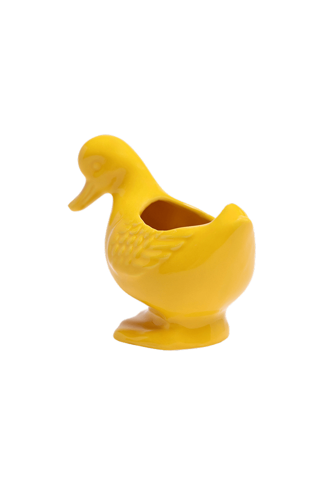 Duck Ceramic Indoor Plant Pot For Succulents - Chive US Wholesale