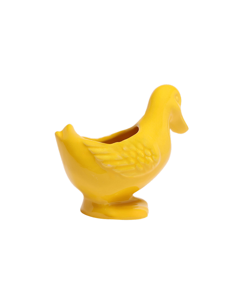 Duck Ceramic Indoor Plant Pot For Succulents - Chive US Wholesale