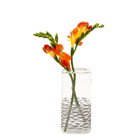 Decal Glass Modern Flower Vase - Chive US Wholesale