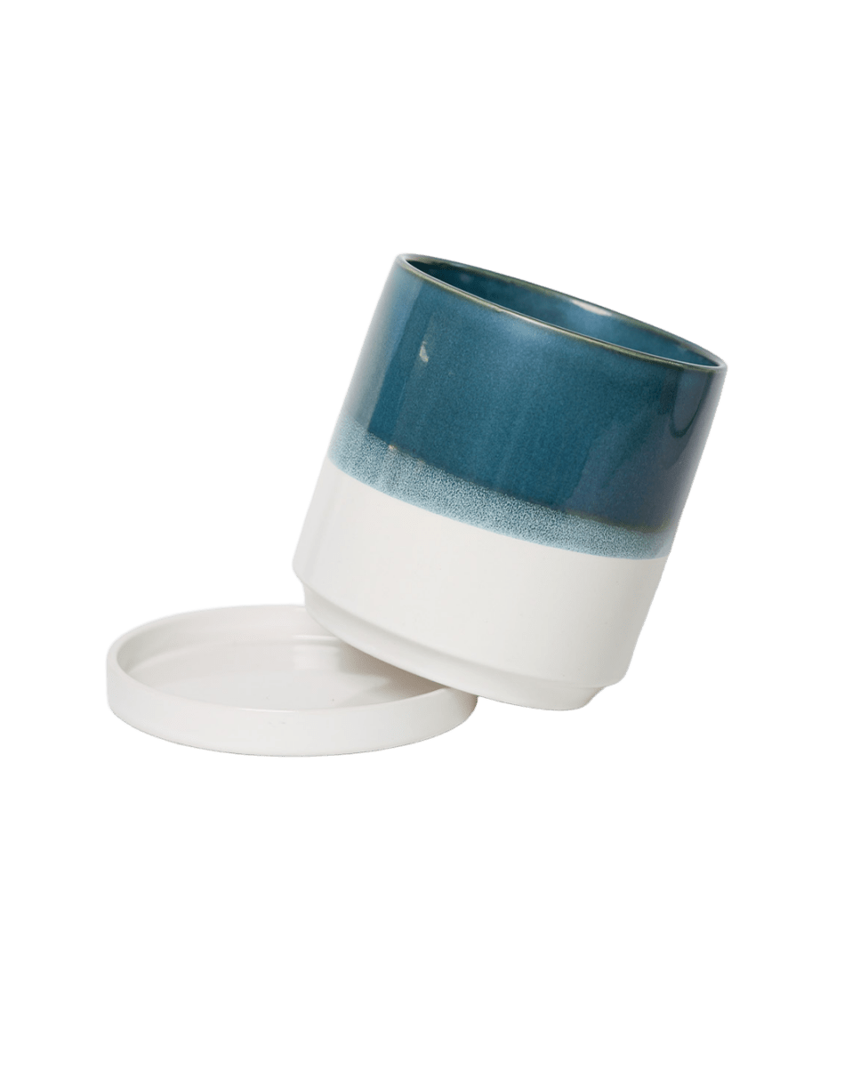 Minute Ceramic Pot And Saucer Set With Drainage - Chive US Wholesale