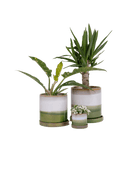 Minute Ceramic Pot And Saucer Set With Drainage - Chive US Wholesale