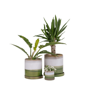 Minute Ceramic Pot And Saucer Set With Drainage - Chive US Wholesale