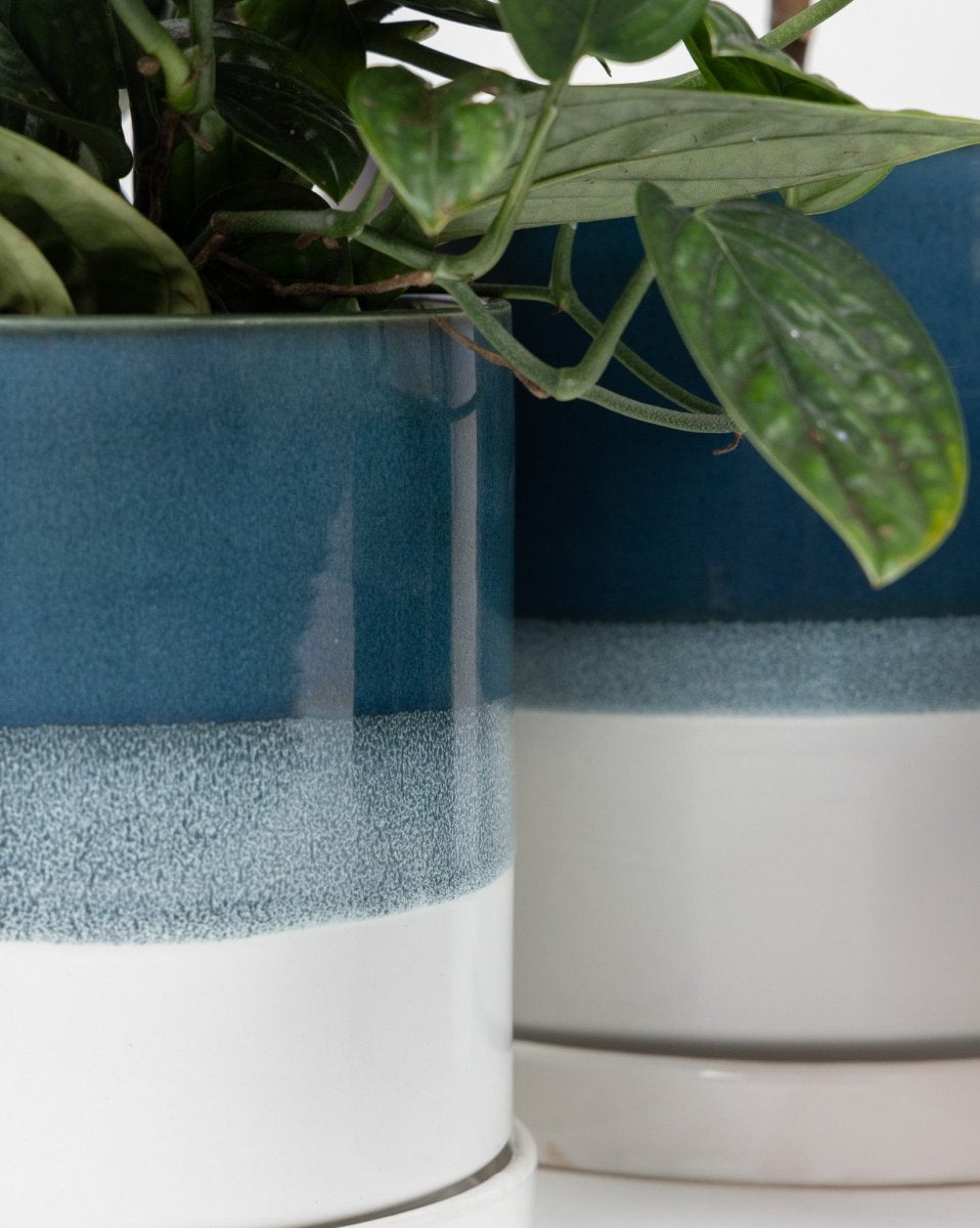 Minute Ceramic Pot And Saucer Set With Drainage - Chive US Wholesale