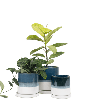 Minute Ceramic Pot And Saucer Set With Drainage - Chive US Wholesale