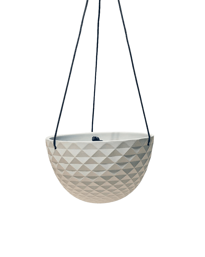 Mini Mofo Porcelain Modern Hanging Planter - Chive US Wholesale