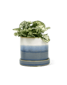 Minute Ceramic Pot And Saucer Set With Drainage - Chive US Wholesale