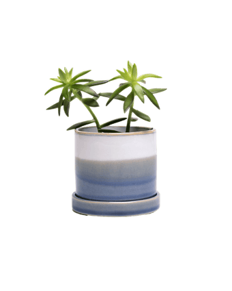 Minute Ceramic Pot And Saucer Set With Drainage - Chive US Wholesale