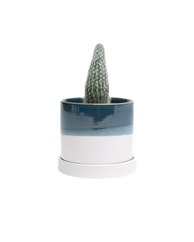 Minute Ceramic Pot And Saucer Set With Drainage - Chive US Wholesale