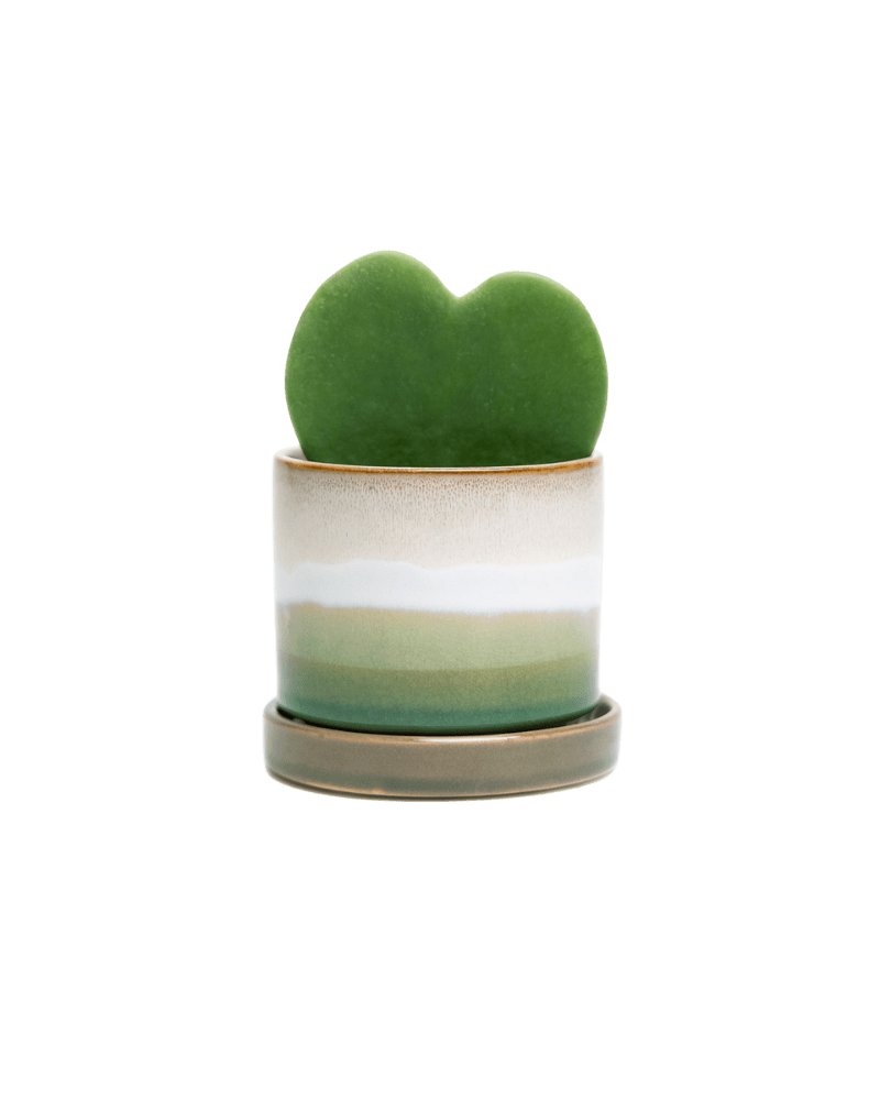 Minute Ceramic Pot And Saucer Set With Drainage - Chive US Wholesale