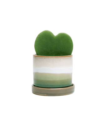 Minute Ceramic Pot And Saucer Set With Drainage - Chive US Wholesale