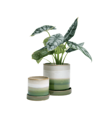 Minute Ceramic Pot And Saucer Set With Drainage - Chive US Wholesale