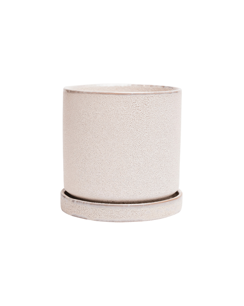 Minute Ceramic Pot And Saucer Set With Drainage - Chive US Wholesale