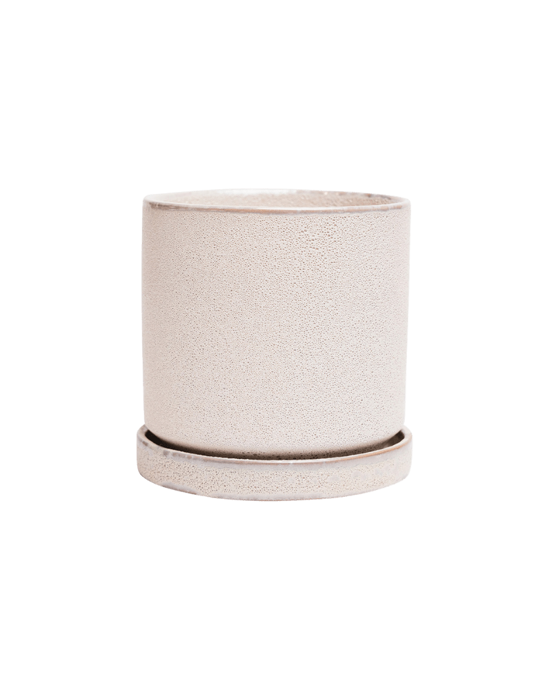 Minute Ceramic Pot And Saucer Set With Drainage - Chive US Wholesale