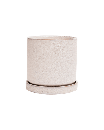 Minute Ceramic Pot And Saucer Set With Drainage - Chive US Wholesale