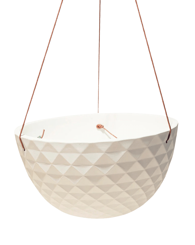 Mofo Porcelain Modern Hanging Planter - Chive US Wholesale