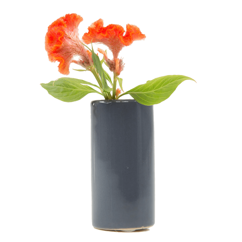 Moloko Ceramic Bud Vase Kit - Chive US Wholesale