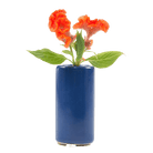 Moloko Ceramic Bud Vase Kit - Chive US Wholesale