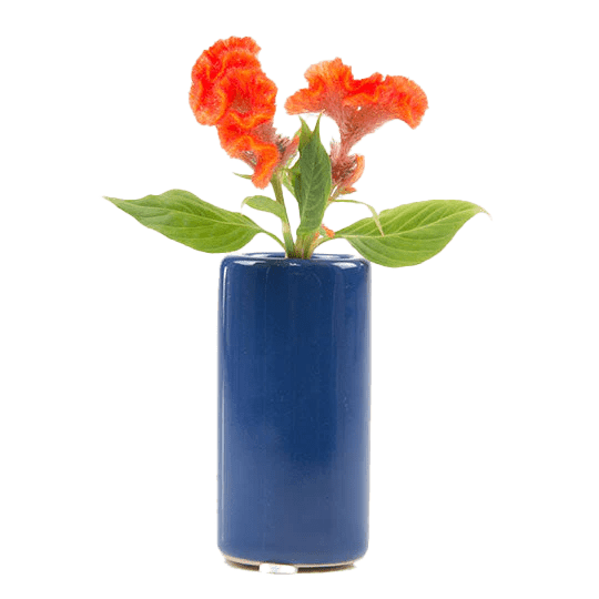 Moloko Ceramic Bud Vase Kit - Chive US Wholesale