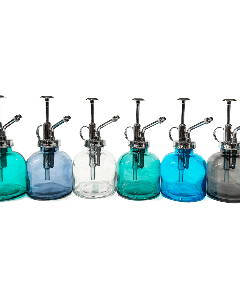 Mr Mister Modern Glass Plant Spray Bottle - Chive US Wholesale